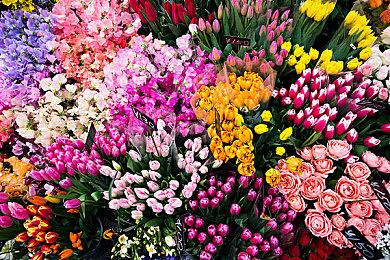 《Drova》战斗原型公布