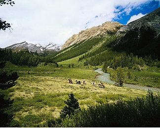 XGP家庭会员计划在两国家上线 微软公布项目细节