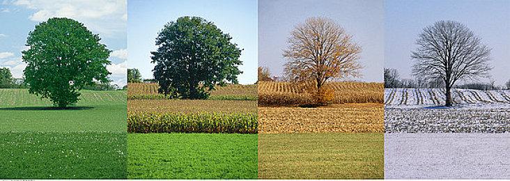 通话RPG新作《Stray Children》今日正式发售